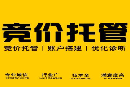 某某SEM公司助力企业快速发展的成功故事
